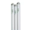 4' SunLite® T-8 Bulbs, Set Of 3