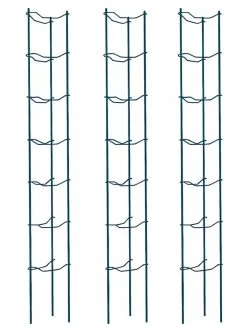 Tomato Ladders, Set Of 3 8 Tomato Ladders, Set Of 3 -Outdoor Garden Care Shop 38184 002E psd