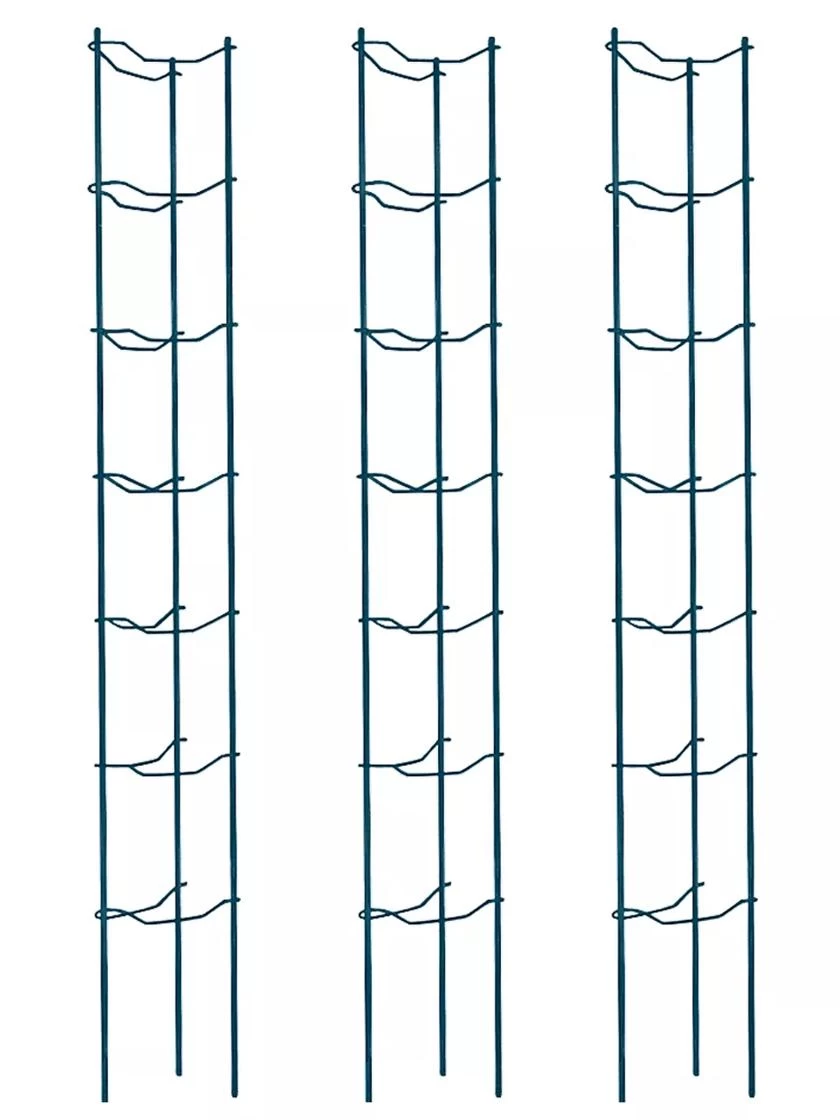 Tomato Ladders, Set Of 3 3 Tomato Ladders, Set Of 3 - Image 3