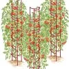 Tomato Ladders, Set Of 3