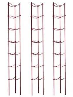 Tomato Ladders, Set Of 3 9 Tomato Ladders, Set Of 3 -Outdoor Garden Care Shop 38185 002E psd