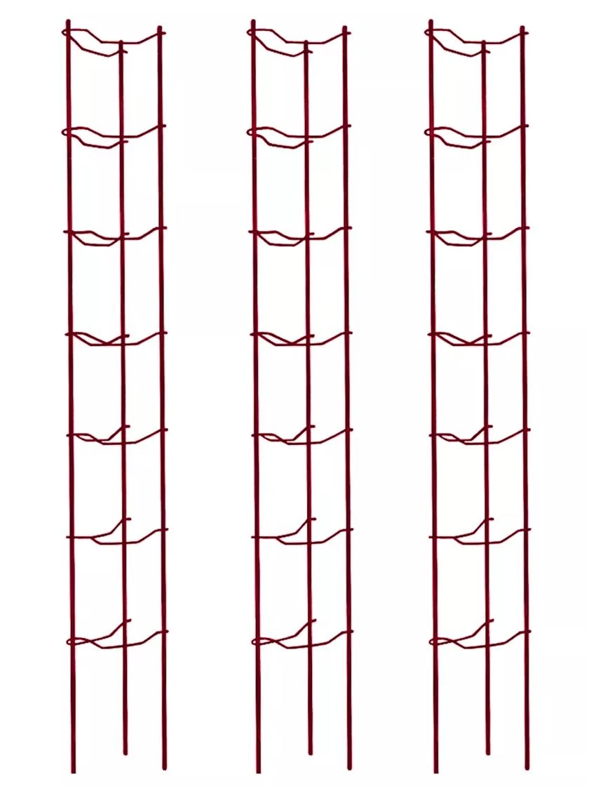Tomato Ladders, Set Of 3 4 Tomato Ladders, Set Of 3 - Image 4