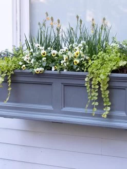 Fairfield Self-Watering Window Box, 3’ 9 Fairfield Self-Watering Window Box, 3’ -Outdoor Garden Care Shop 39 344 9360 tif