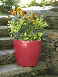 Viva Round Self-Watering Rolling Planter, 17.25” Diameter -Outdoor Garden Care Shop 39326 046 tif