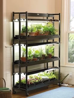 3-Tier SunliteĀ® Garden
