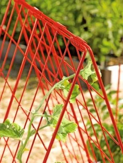 Deluxe Cucumber Trellis -Outdoor Garden Care Shop 39806 542 tif