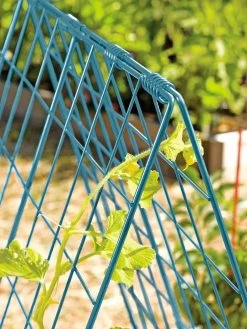 Deluxe Cucumber Trellis -Outdoor Garden Care Shop 39806 BLUE 100 tif