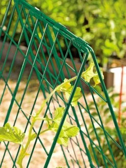 Deluxe Cucumber Trellis -Outdoor Garden Care Shop 39806 GR edit tif