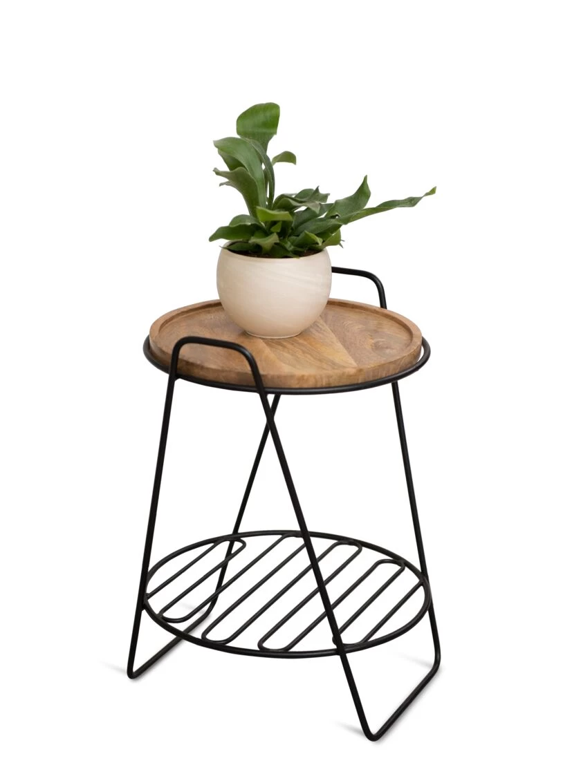 Hairpin Plant Stand With Shelf 2 Hairpin Plant Stand With Shelf - Image 2