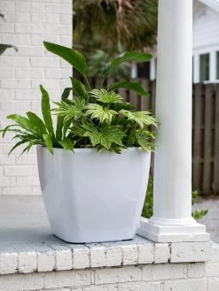 Viva Square Self-Watering Rolling Planter, 20" Diameter, Set Of 2 -Outdoor Garden Care Shop 3 4 crop 8612930 0033 tif