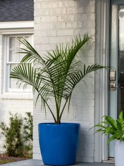 Viva Round Self-Watering Rolling Planter, 20" Diameter, Set Of 2 14 Viva Round Self-Watering Rolling Planter, 20" Diameter, Set Of 2 -Outdoor Garden Care Shop 3 4 crop 8612933 0024 tif