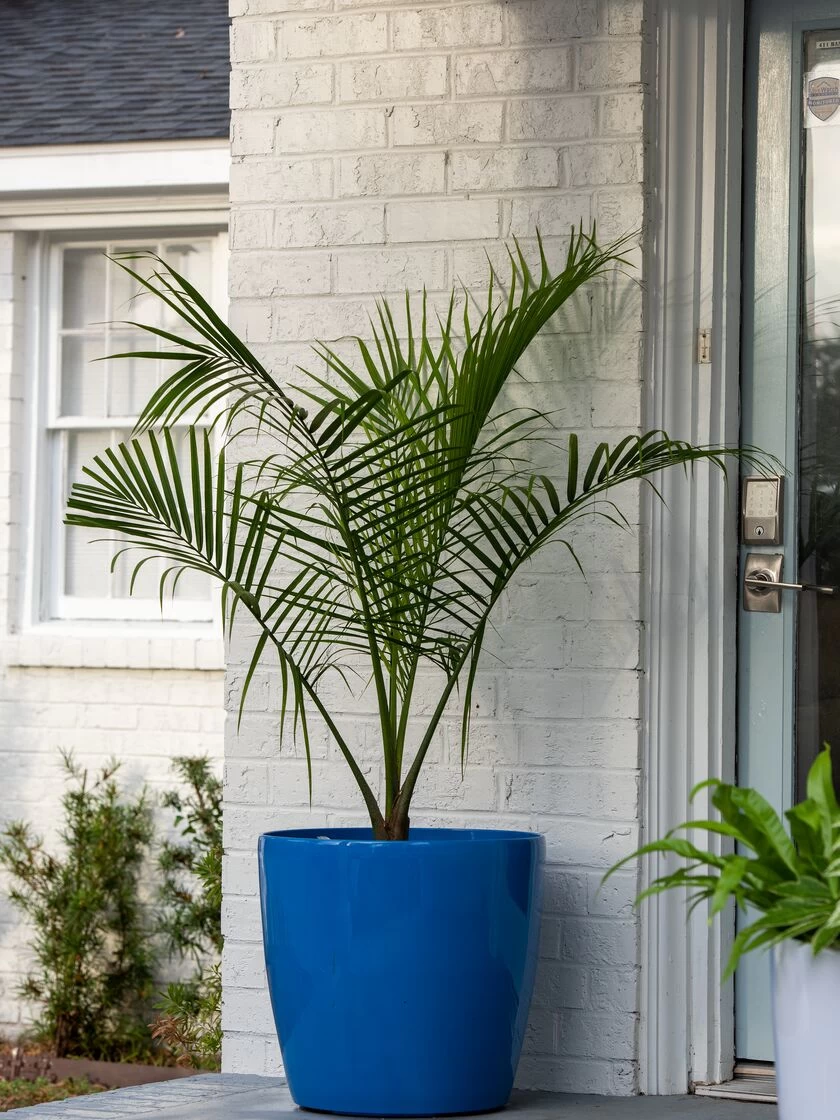 Viva Round Self-Watering Rolling Planter, 20" Diameter, Set Of 2 3 Viva Round Self-Watering Rolling Planter, 20" Diameter, Set Of 2 - Image 3