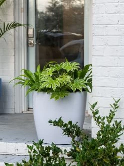 Viva Round Self-Watering Rolling Planter, 20" Diameter, Set Of 2 15 Viva Round Self-Watering Rolling Planter, 20" Diameter, Set Of 2 -Outdoor Garden Care Shop 3 4 crop 8612933 0025 tif