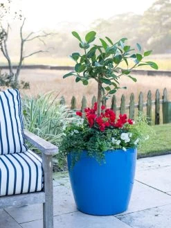 Viva Round Self-Watering Rolling Planter, 20" Diameter, Set Of 2 16 Viva Round Self-Watering Rolling Planter, 20" Diameter, Set Of 2 -Outdoor Garden Care Shop 3 4 crop 8612933 5312 tif