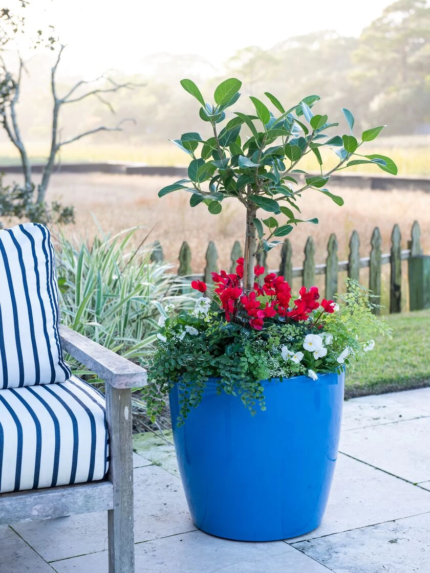 Viva Round Self-Watering Rolling Planter, 20" Diameter, Set Of 2 5 Viva Round Self-Watering Rolling Planter, 20" Diameter, Set Of 2 - Image 5