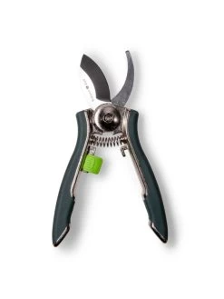 Houseplant Pruner -Outdoor Garden Care Shop 3 4 crop 8612961 0012