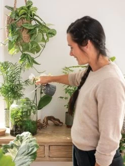 Indoor Plant Mister -Outdoor Garden Care Shop 3 4 crop 8612962 3792