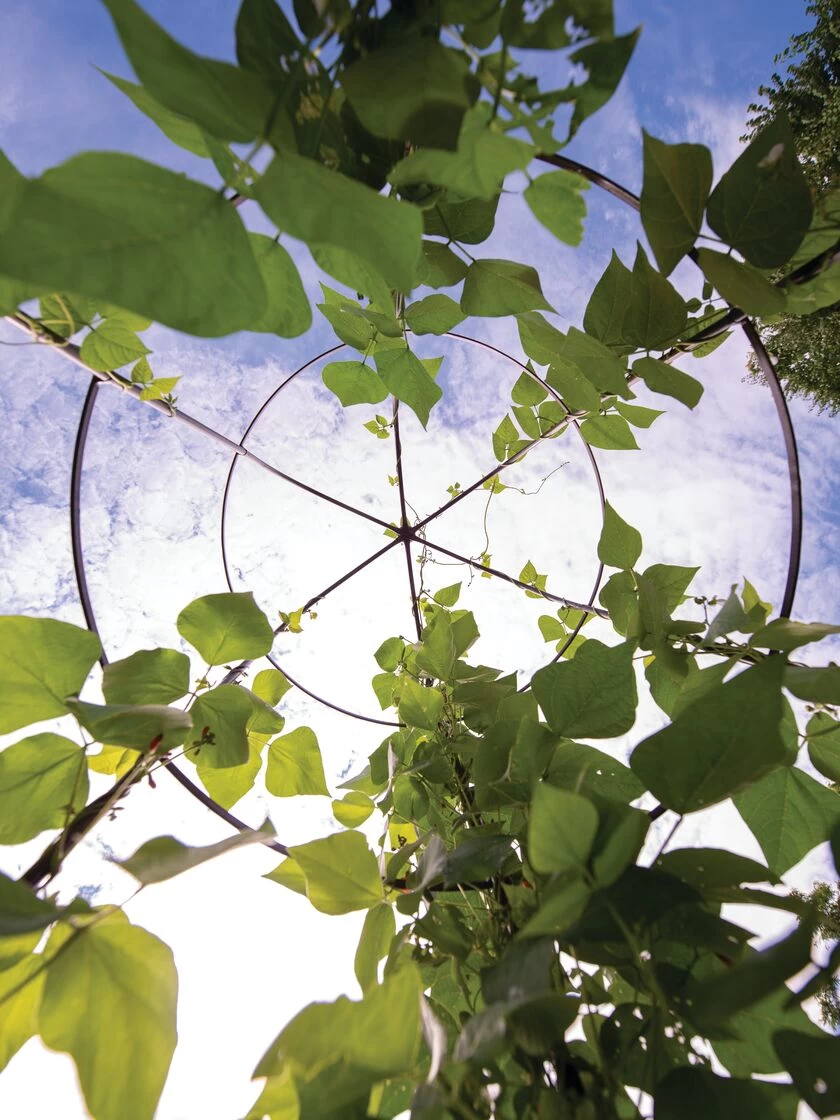 Jardin Tower 5 Jardin Tower - Image 5