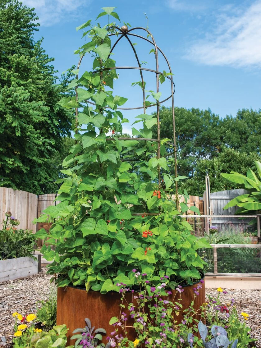 Jardin Tower 2 Jardin Tower - Image 2