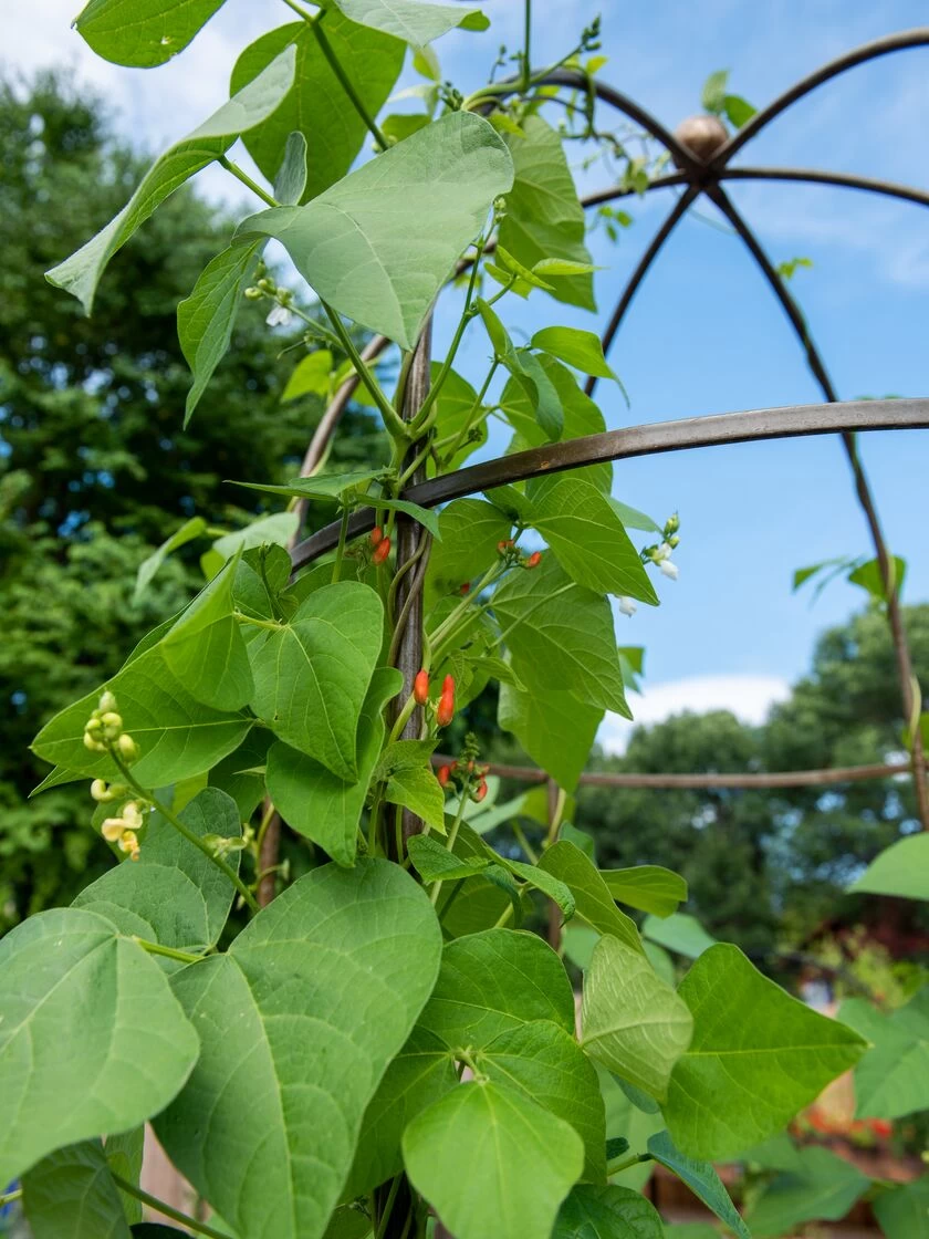 Jardin Tower 3 Jardin Tower - Image 3