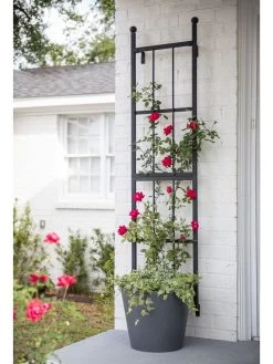 Essex Wall Trellis