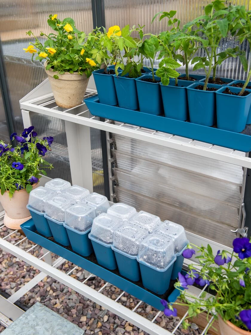 Gardener's Best® Humidity Dome, Set Of 2 2 Gardener's Best® Humidity Dome, Set Of 2 - Image 2