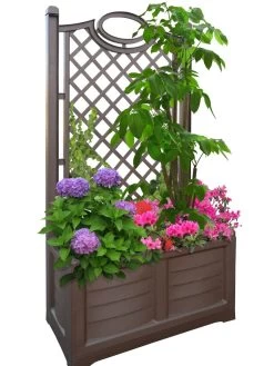 Separate Flower Box With Trellis -Outdoor Garden Care Shop 3 4 crop 8613626 04V
