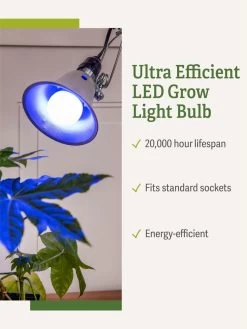 Miracle LED® Grow Light Bulb, Blue 8 Miracle LED® Grow Light Bulb, Blue -Outdoor Garden Care Shop 3 4 crop Miracle Bulb Blue 1