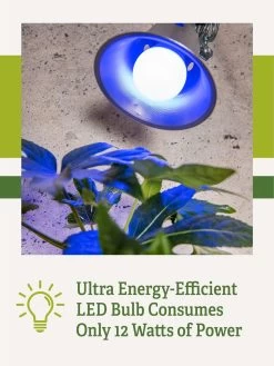 Miracle LED® Grow Light Bulb, Blue 9 Miracle LED® Grow Light Bulb, Blue -Outdoor Garden Care Shop 3 4 crop Miracle Bulb Blue 2