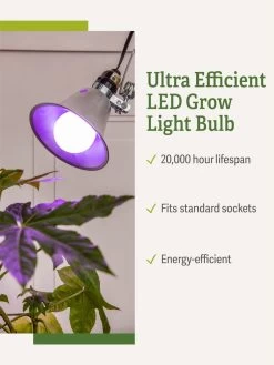 Miracle LED® Grow Light Bulb, Red And Blue -Outdoor Garden Care Shop 3 4 crop Miracle Bulb RB 1