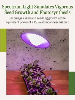 Miracle LED® Grow Light Bulb, Red And Blue -Outdoor Garden Care Shop 3 4 crop Miracle Bulb RB 3