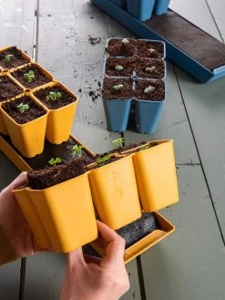 Coco Coir Seed Starting Mix 5 Coco Coir Seed Starting Mix -Outdoor Garden Care Shop 40 135 6192