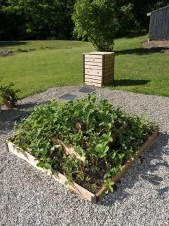 3-Tier Strawberry Bed -Outdoor Garden Care Shop 8586752 2341 tif