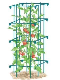 Tomato Cage, Single 6 Tomato Cage, Single -Outdoor Garden Care Shop 8587039 TomatoCage BLUE tif