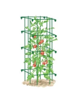Tomato Cage, Single 7 Tomato Cage, Single -Outdoor Garden Care Shop 8587039 TomatoCage GRN tif
