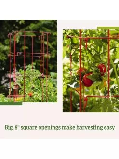 Tomato Cages, Set Of 4 13 Tomato Cages, Set Of 4 -Outdoor Garden Care Shop 8587040 2