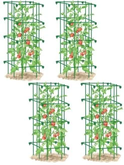 Tomato Cages, Set Of 4 11 Tomato Cages, Set Of 4 -Outdoor Garden Care Shop 8587040 GR 001E tif