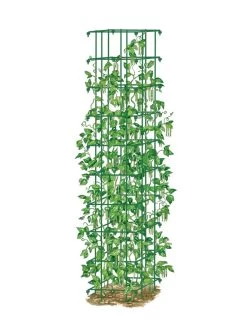 Bean Tower -Outdoor Garden Care Shop 8587060 0008 GRN tif