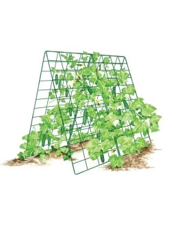 Deluxe Cucumber Trellis -Outdoor Garden Care Shop 8587083 001 GRN tif
