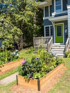 Zenith Folding Garden Supports, Set Of 2 14 Zenith Folding Garden Supports, Set Of 2 -Outdoor Garden Care Shop 8587807 0801 tif