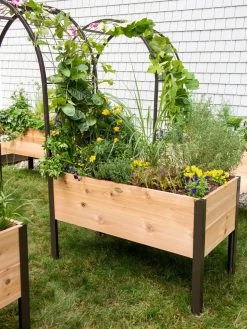 2’ X 4’ Arch Trellis For Planter Boxes -Outdoor Garden Care Shop 8587823 0490