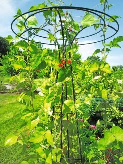 Essex Tuteur, 78" 10 Essex Tuteur, 78" -Outdoor Garden Care Shop 8587861 100 tif