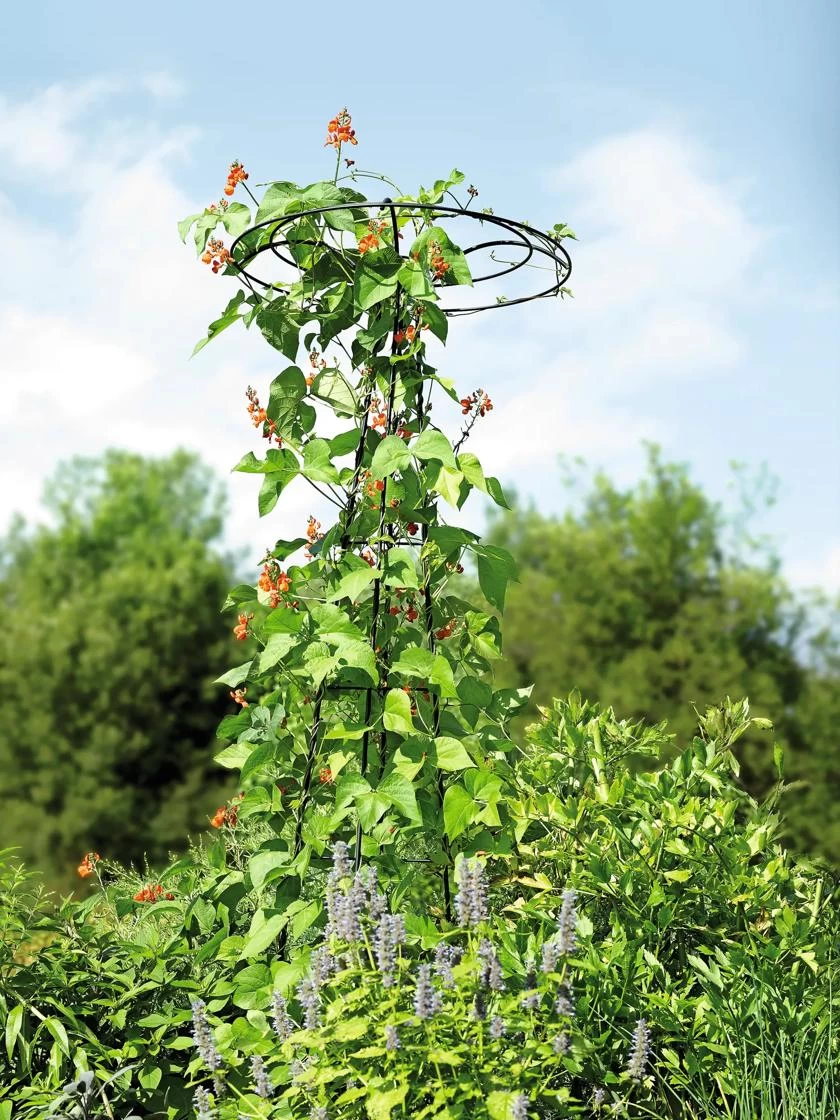 Essex Tuteur, 78" 4 Essex Tuteur, 78" - Image 4