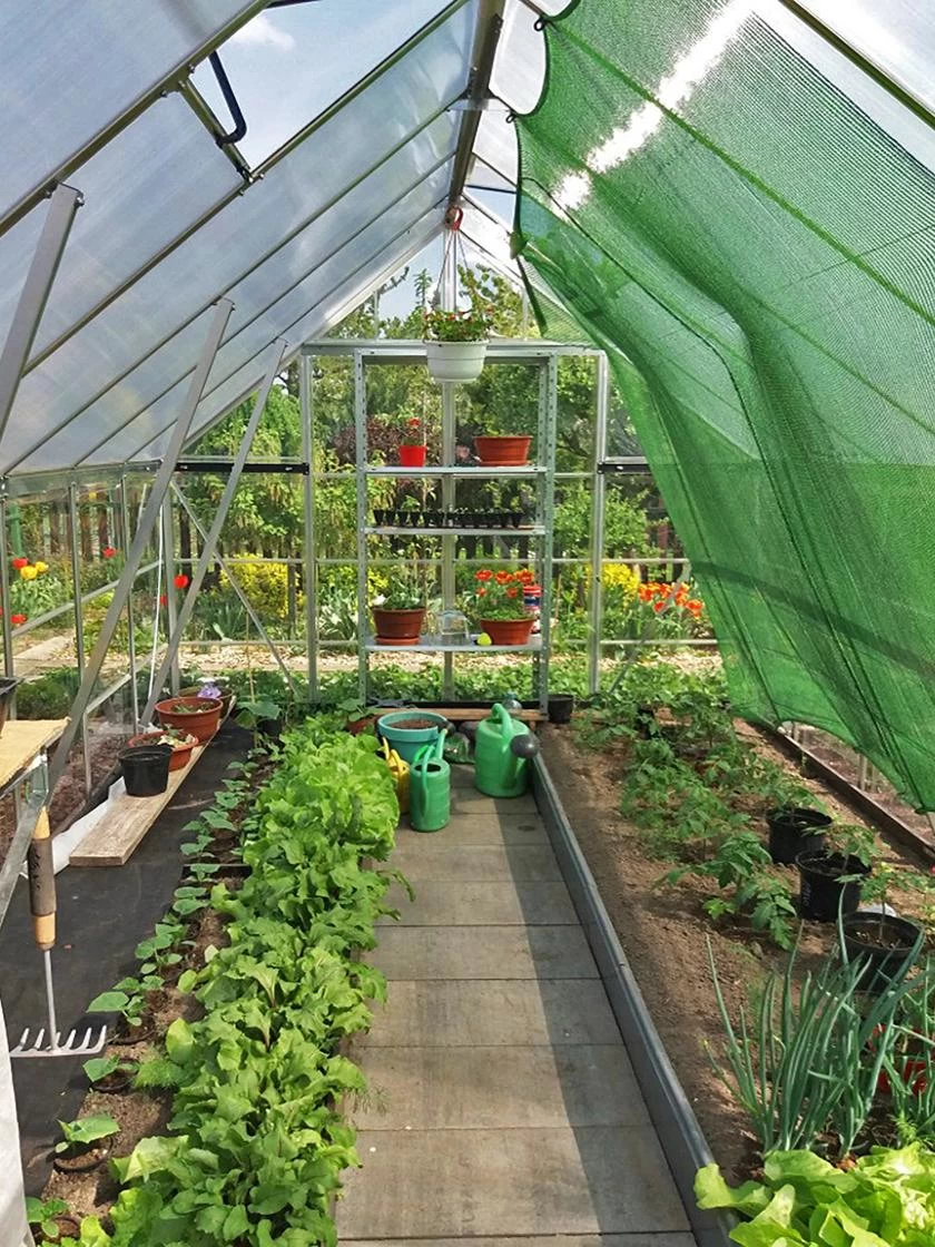 Canopia® By Palram Balance Greenhouse, 8' X 12' 11 Canopia® By Palram Balance Greenhouse, 8' X 12' - Image 11