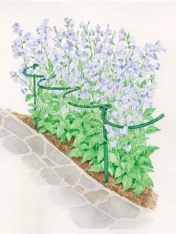 Tidy Path Supports -Outdoor Garden Care Shop 8588403 003 1