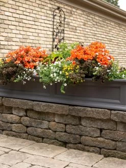 Fairfield Self-Watering Window Box, 5’ -Outdoor Garden Care Shop 8588938 105V tif