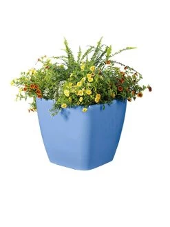Viva Square Self-Watering Rolling Planter, 14" Diameter -Outdoor Garden Care Shop 8589777BL 6080 tif
