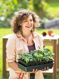 Growease Seed Starter Kit -Outdoor Garden Care Shop 8589987 0446 tif