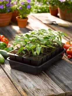 Growease Seed Starter Kit -Outdoor Garden Care Shop 8589987 1148 tif
