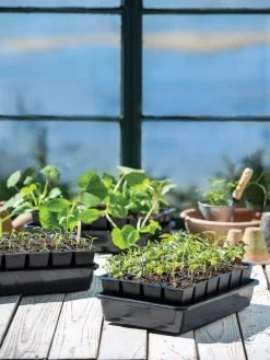 Growease Seed Starter Kit -Outdoor Garden Care Shop 8589987 7871 tif